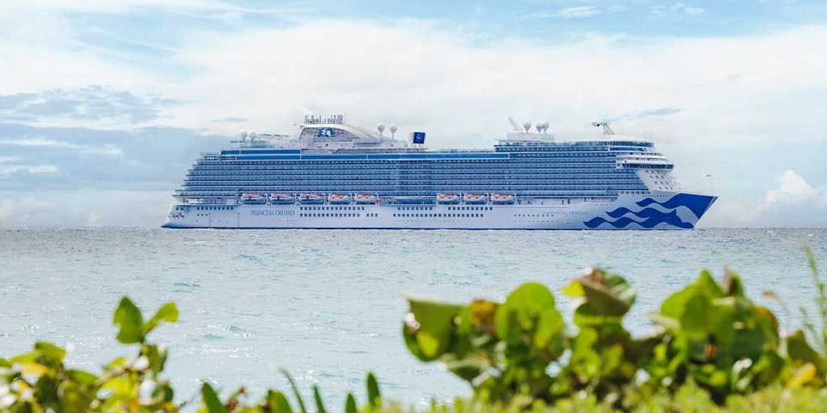 Cruise Image